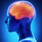 drug addiction & the brain